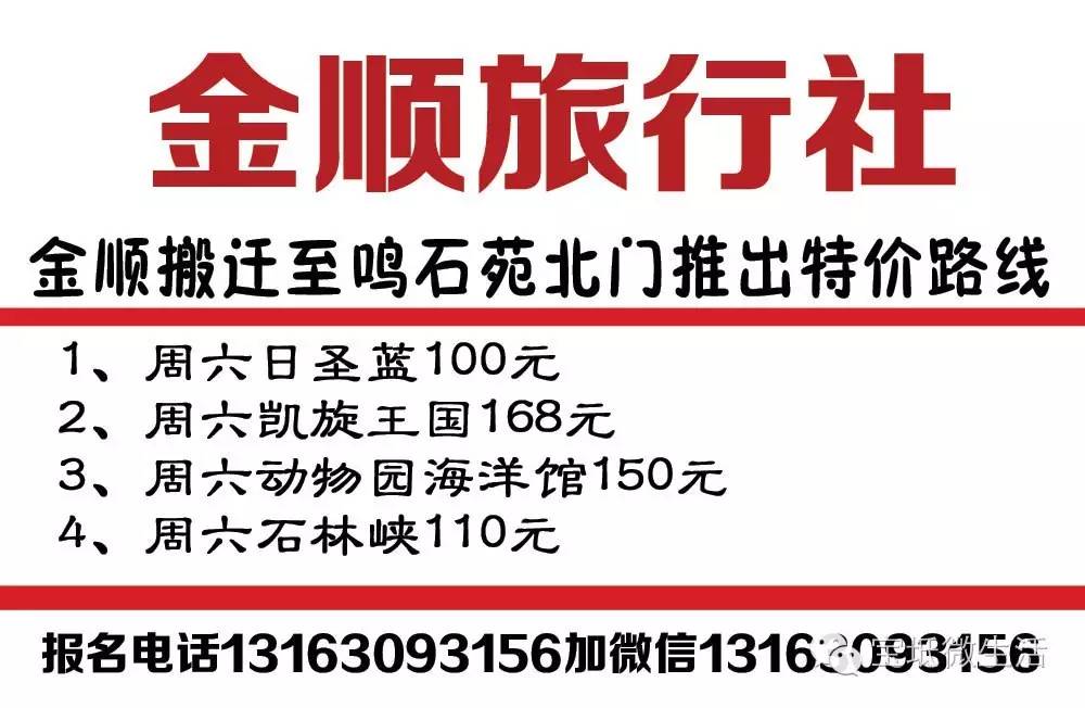 宝坻最新招聘信息概览