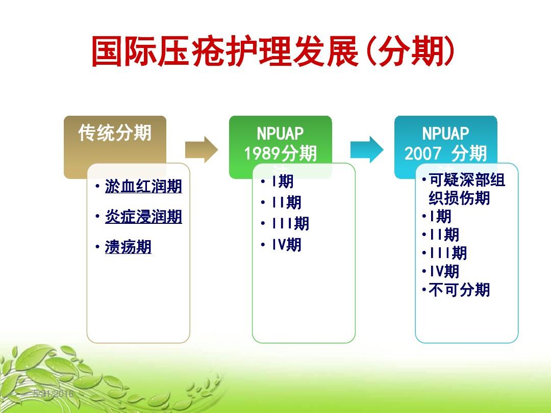 双头园 第12页